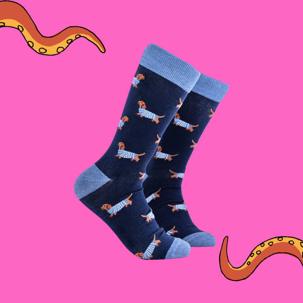 A pair of socks depicting sausage dogs wearing jumpers. Dark legs, light blue cuff, heel and toe