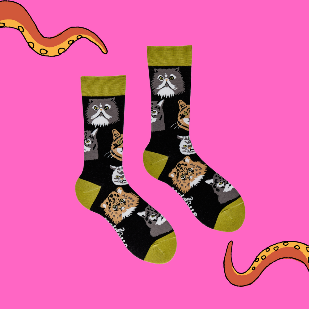 
                      
                        A pair of socks depicting various grumpy cats. Black legs, green cuff, heel and toe.
                      
                    