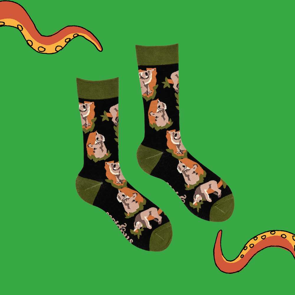 
                      
                        A pair of socks depicting koala bears. Black legs, green cuff, heel and toe.
                      
                    