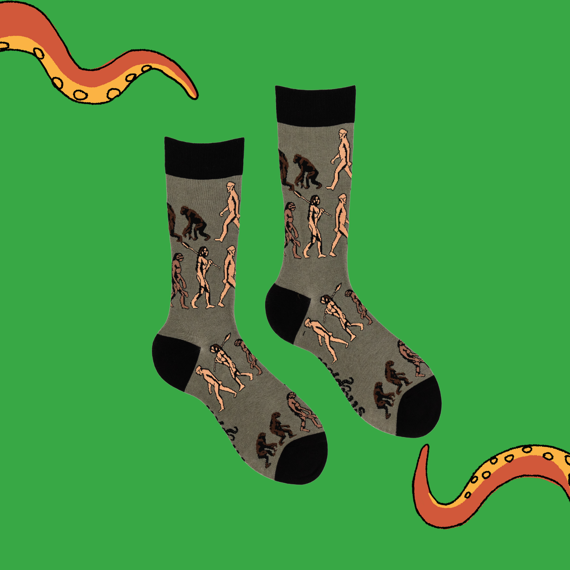 Science Socks - Theory of Evolution - Soctopus