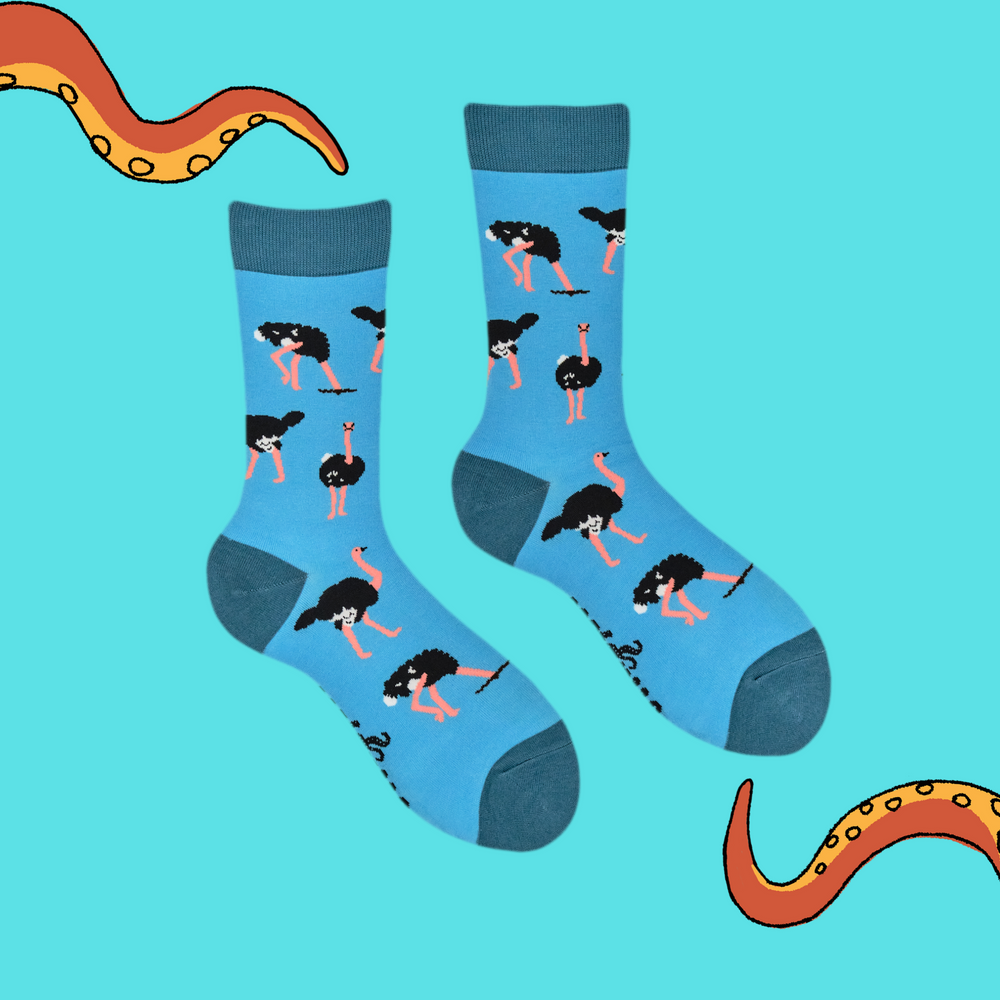 
                      
                        A pair of socks depicting Ostriches. Bright blue legs, teal heel, toe and cuff.  
                      
                    