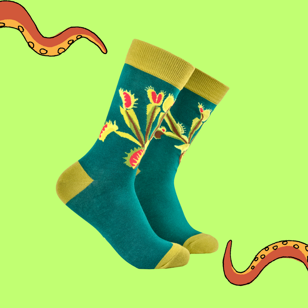 
                      
                        A pair of socks featuring a venus fly trap. Teal legs, yellow heel, toe and cuff. 
                      
                    