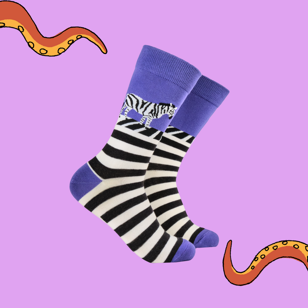 A pair of socks featuring a zebra on a zebra crossing. Striped legs, purple heel, toe and cuff. 