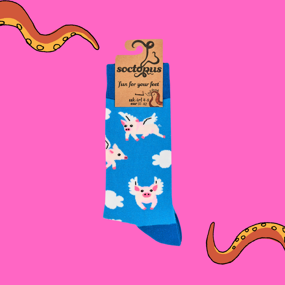 
                      
                        A pair of socks with a flying pig motif. Light blue legs, dark blue heel, toe and cuff. 
                      
                    