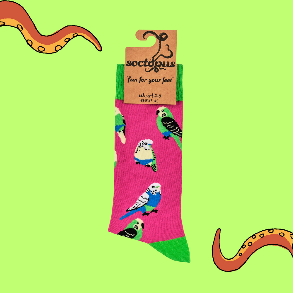 
                      
                        A pair of socks featuring budgies wearing budgie smugglers. Bright pink legs, bright green heel, toe and cuff. 
                      
                    