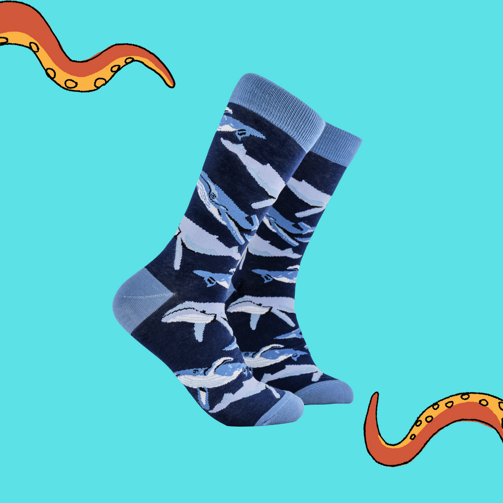 A pair of socks depicting different species of Whale. Dark blue legs, bright blue cuff, heel and toe.