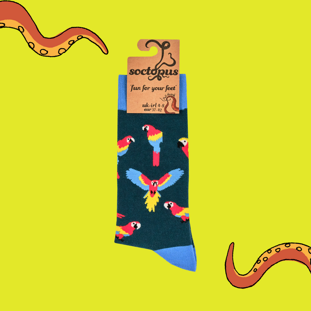 
                      
                        A pair of socks with a parrot motif. Dark blue legs. Bright blue heel, toe and cuff. 
                      
                    