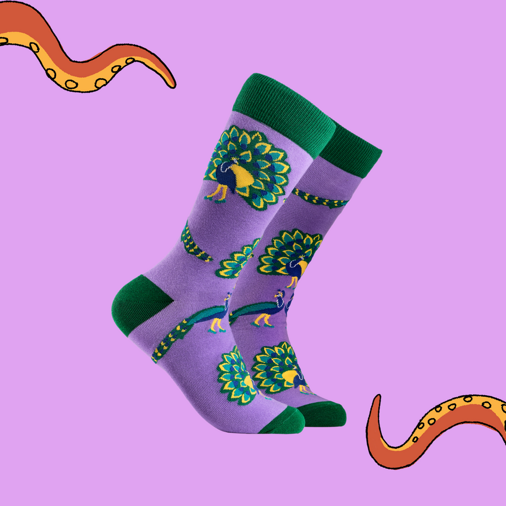 A pair of socks depicting peacocks. Purple legs, green cuff, heel and toe.
