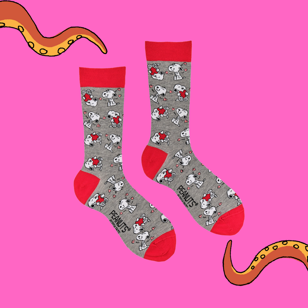 
                      
                        A pair of socks depicting Snoopy and love hearts. Grey legs, red cuff, heel and toe.
                      
                    