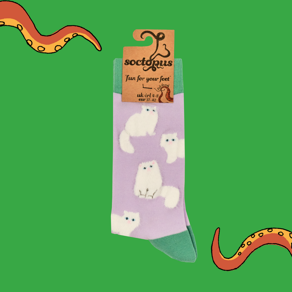 
                      
                        A pair of socks featuring fluffy white cats. Light pink legs, green heel, toe and cuff. 
                      
                    