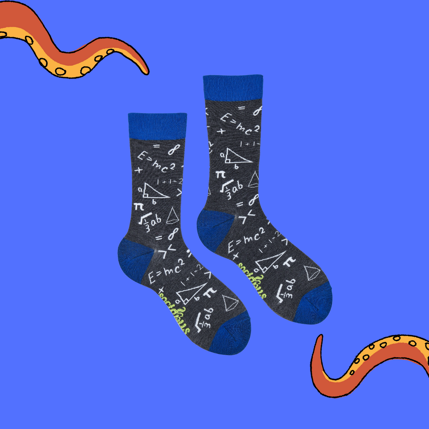 
                  
                    A pair of socks depicting mathematical equations. Grey legs, blue cuff, heel and toe.
                  
                