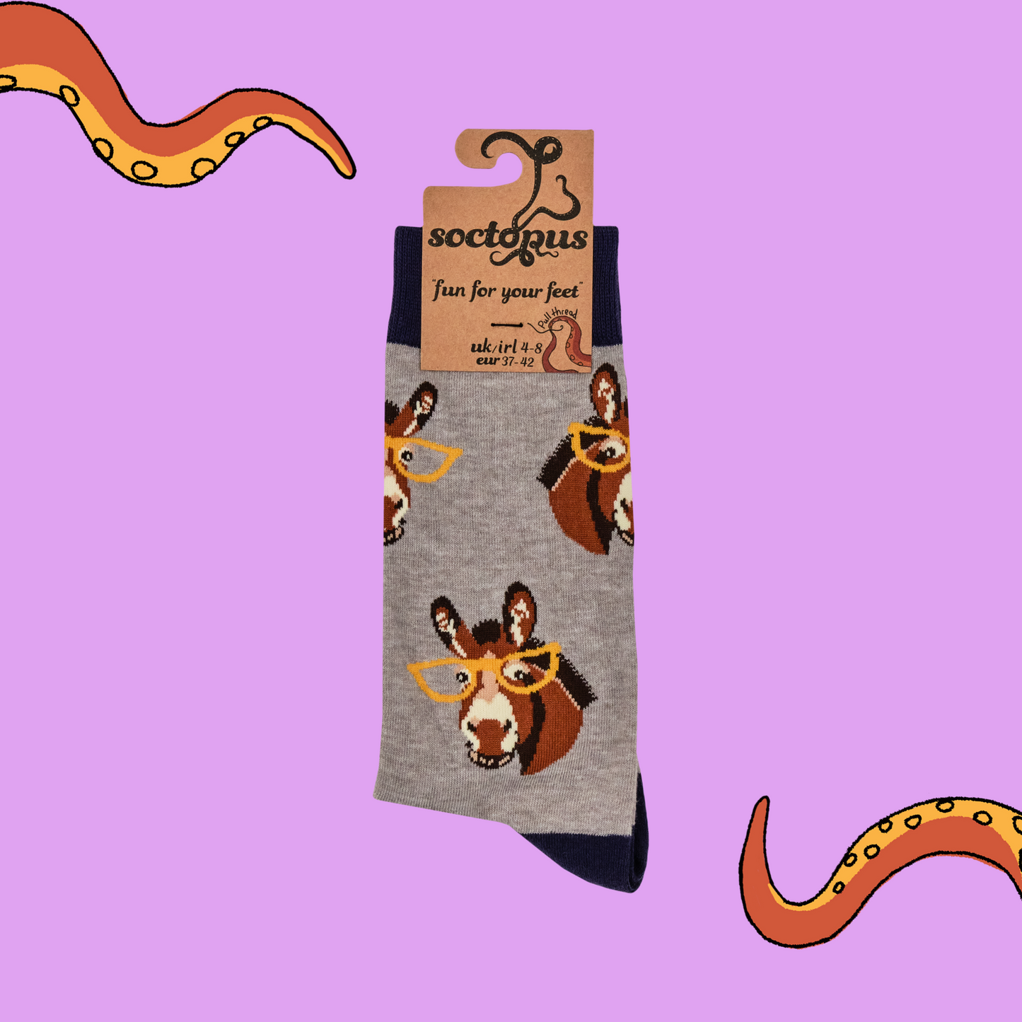 
                  
                    Donkey Socks - Smart Ass
                  
                