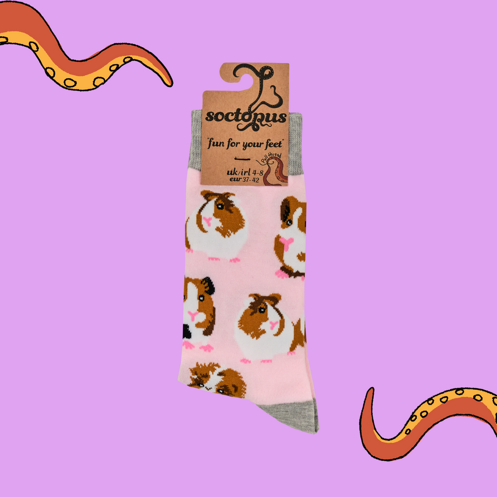 
                      
                        Guinea Pig Socks - I Am Not A Hamster
                      
                    