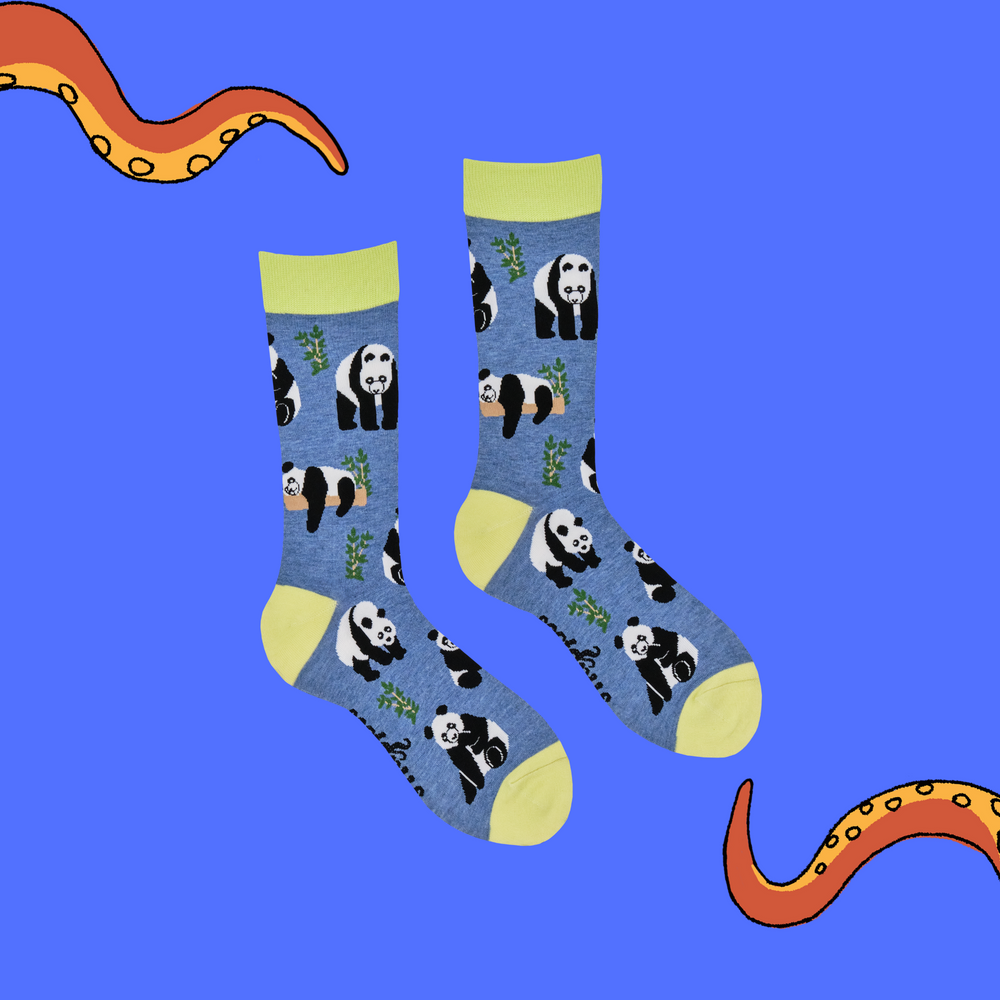 
                      
                        Panda Socks - Stu-Pandous
                      
                    