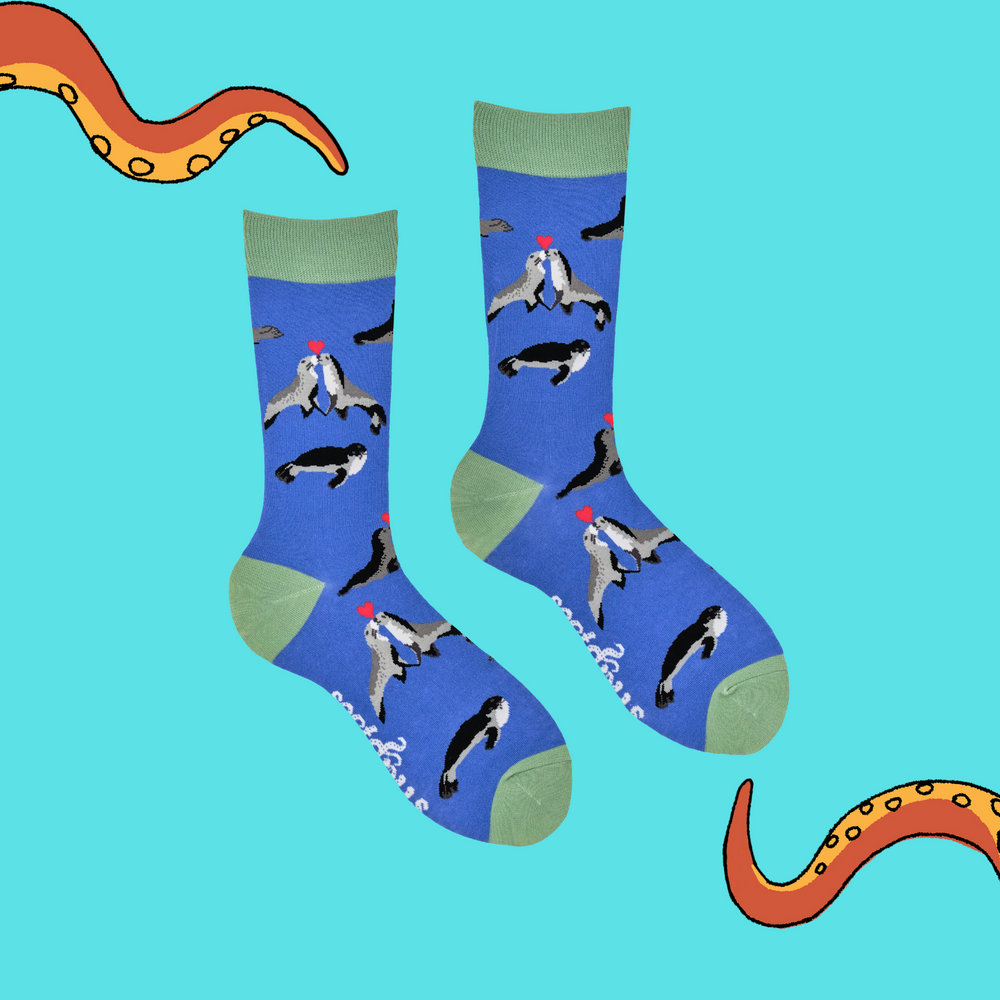 
                      
                        A pair of socks depicting two seals in love. Blue legs, green heel, toe and cuff. 
                      
                    