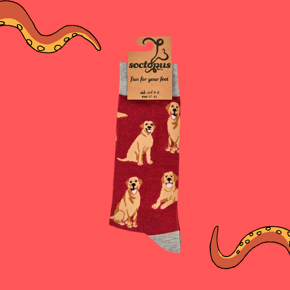 
                  
                    Labrador Retriever Socks - Labradorable
                  
                