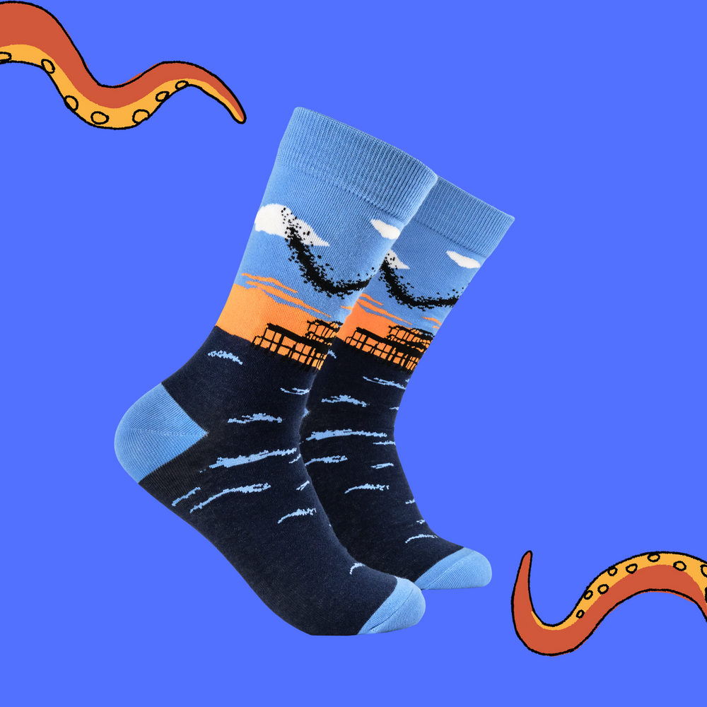 Murmurations Socks - Together Co Collaboration