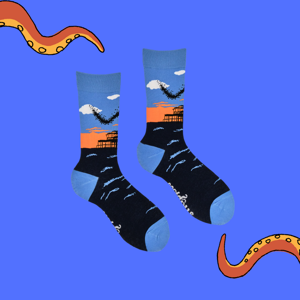 
                      
                        Murmurations Socks - Together Co Collaboration
                      
                    
