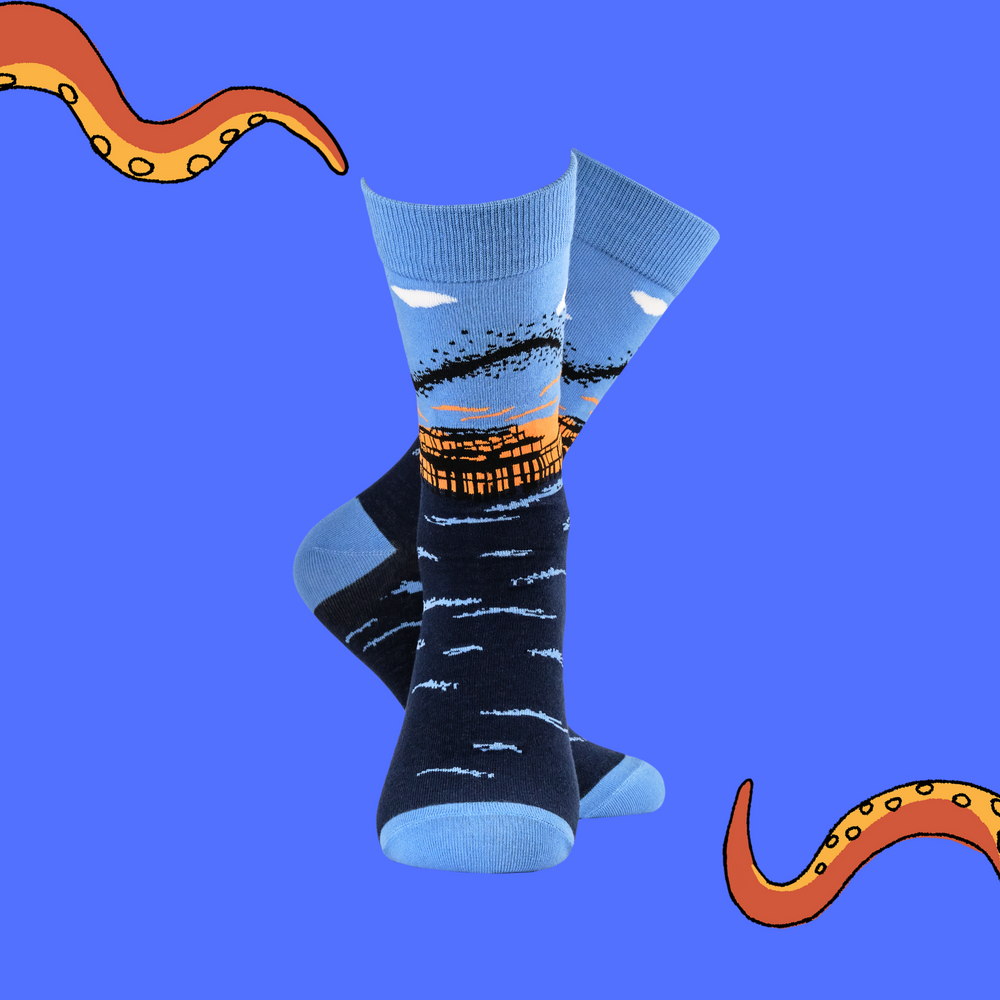 
                      
                        Murmurations Socks - Together Co Collaboration
                      
                    