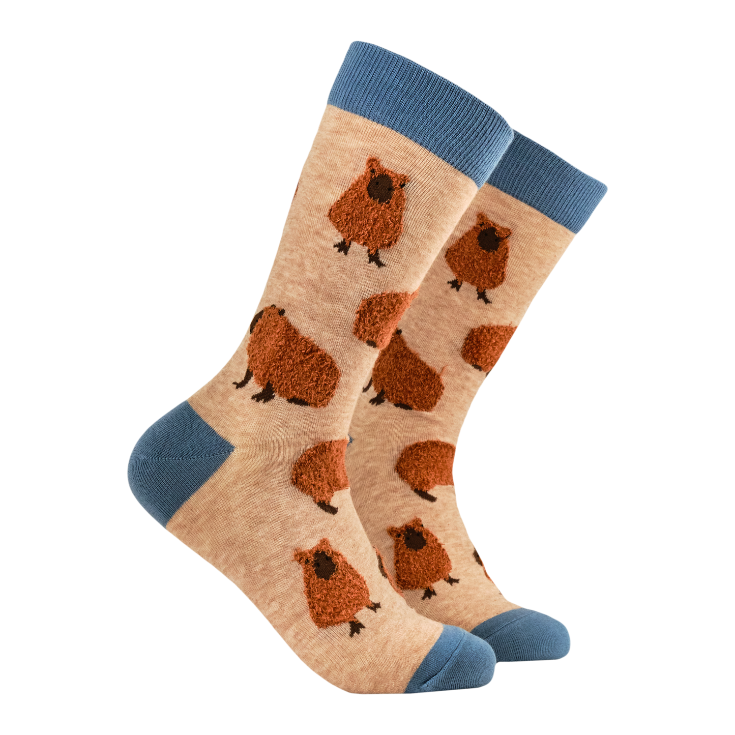 Capybara Fluffies Socks. A pair of socks featuring fluffy Capybaras. Brown legs, blue heel, toe and cuff. 