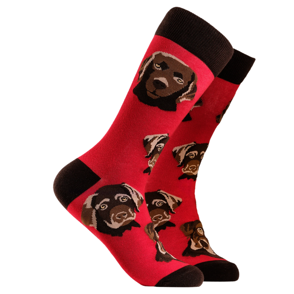 
                  
                    A pair of socks depicting chocolate Labradors. Red legs, brown cuff, heel and toe.
                  
                