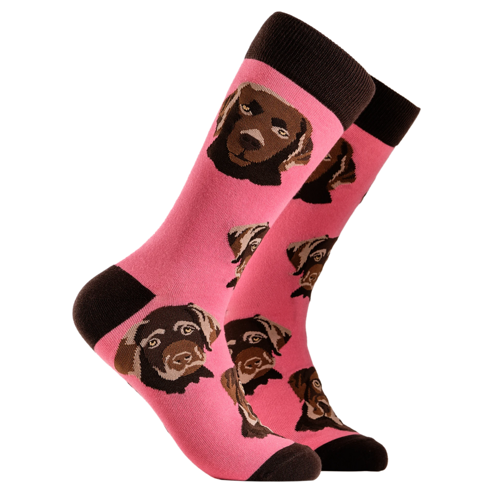 Labrador Socks - Choc Lab. A pair of socks depicting chocolate Labradors. Pink legs, brown cuff, heel and toe.