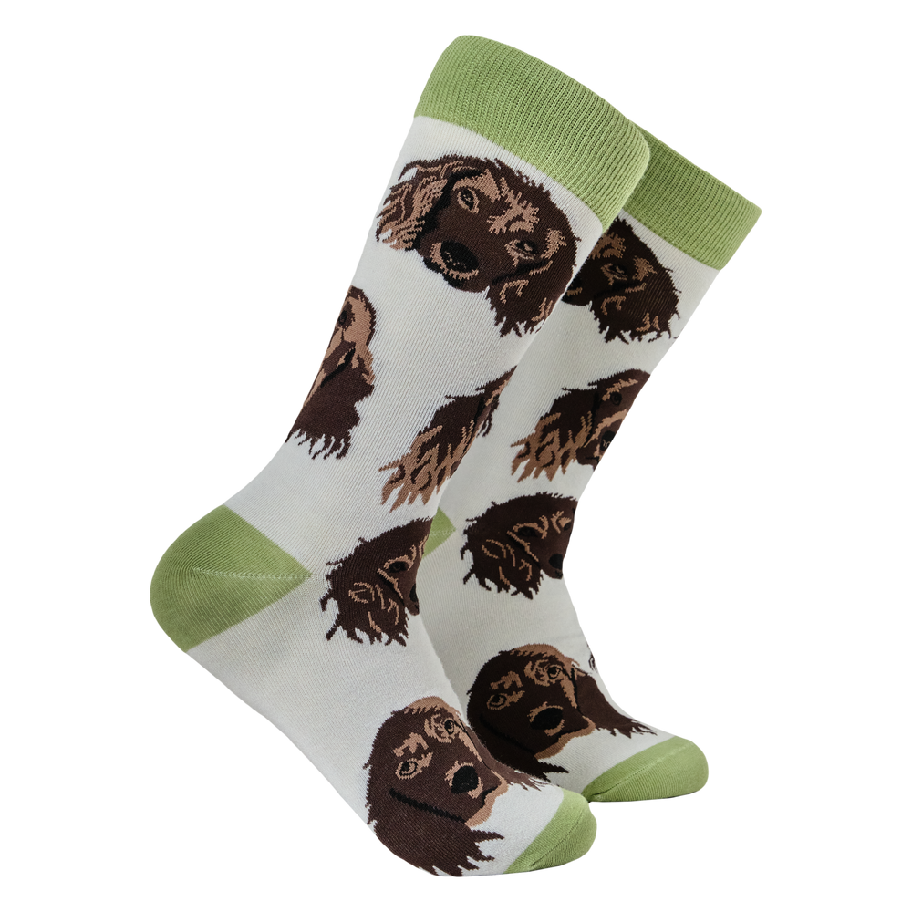 
                  
                    Cocker Spaniel Socks
                  
                