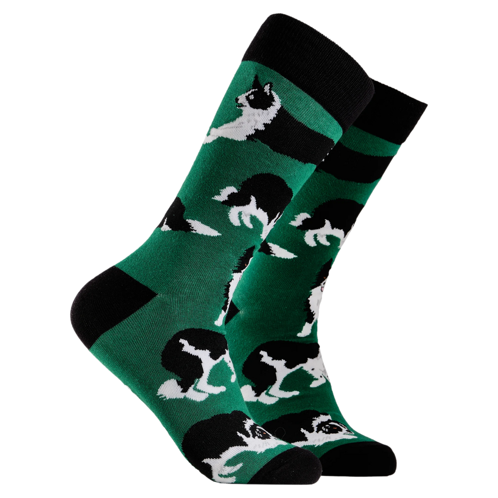 
                  
                    A pair of socks depicting Border collie dogs. Deep Green legs, black cuff, heel and toe.
                  
                