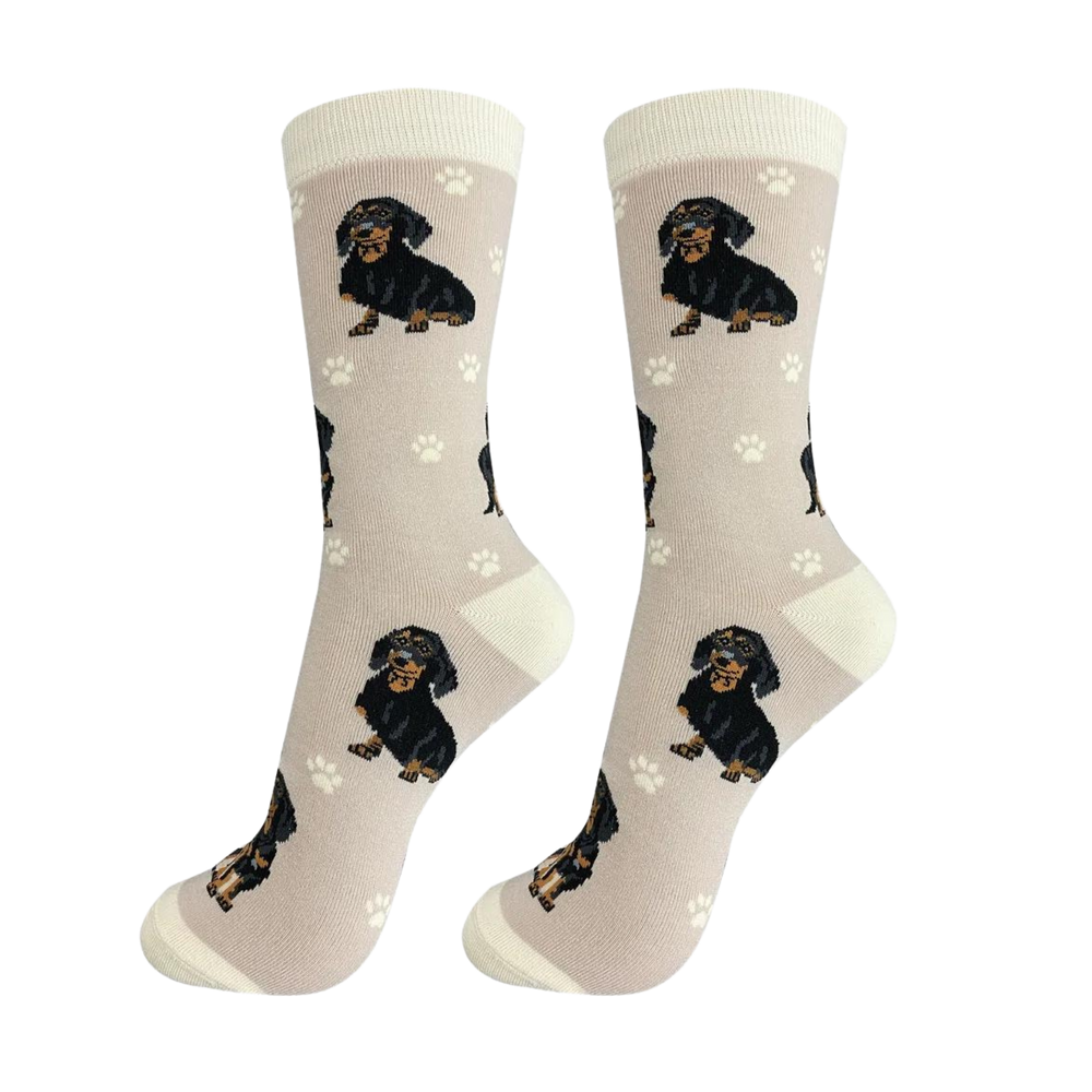 Dachshund Socks - E&S Pets. A pair of socks depicting sausage dogs. Cream legs, light cream heel, toe and cuff.