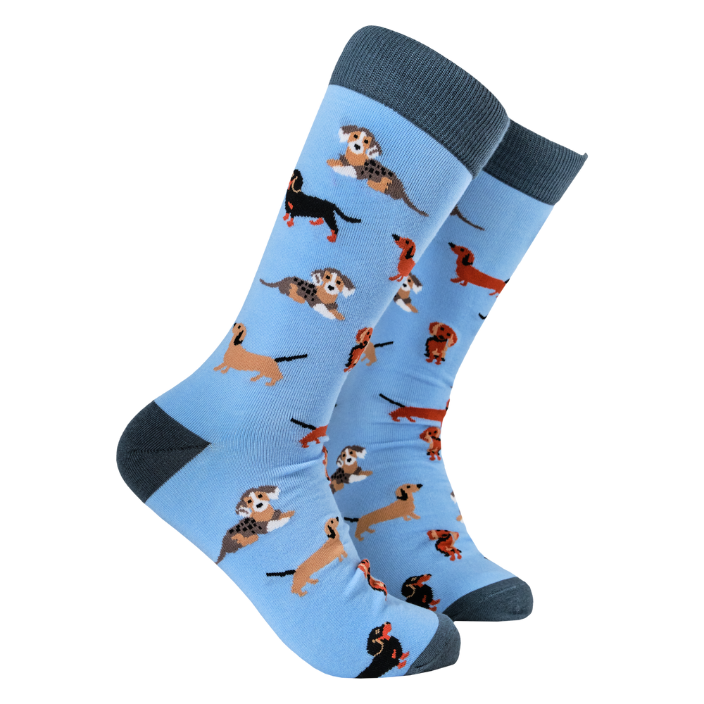 
                      
                        Sausage Dog Socks - Dasching Around 2
                      
                    