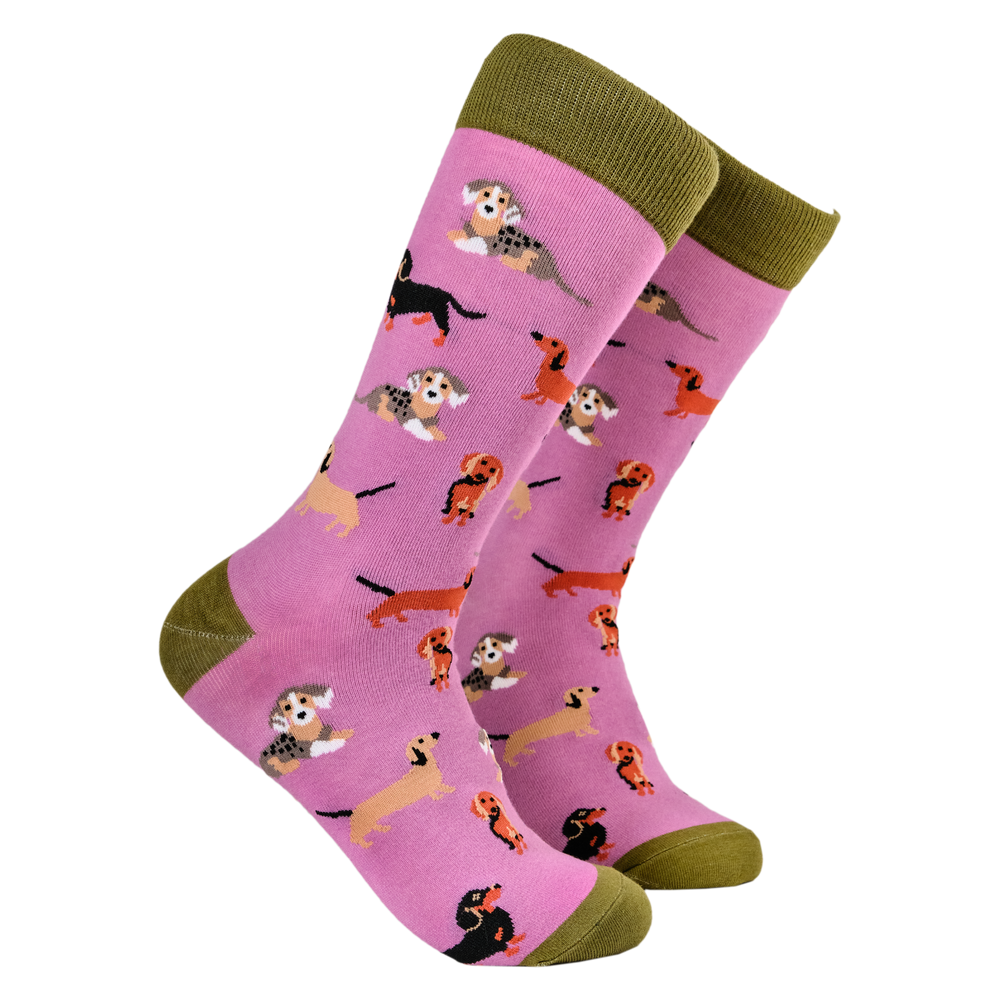 
                      
                        Sausage Dog Socks - Dasching Around 2
                      
                    