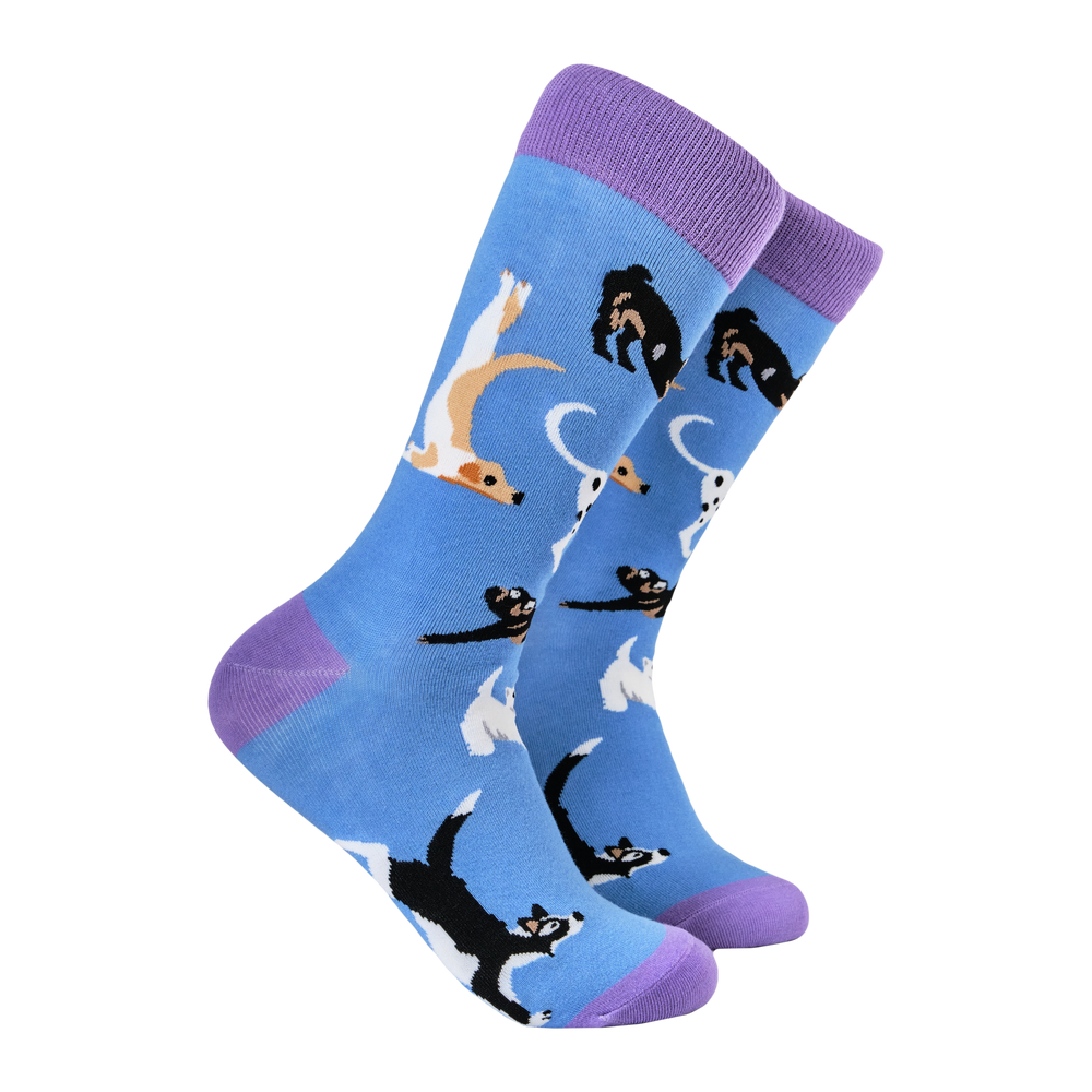 Yoga Dog Socks - Downward Dogs.  A pair of socks depicting dogs doing yoga. Blue legs, purple heel, toe and cuff. 