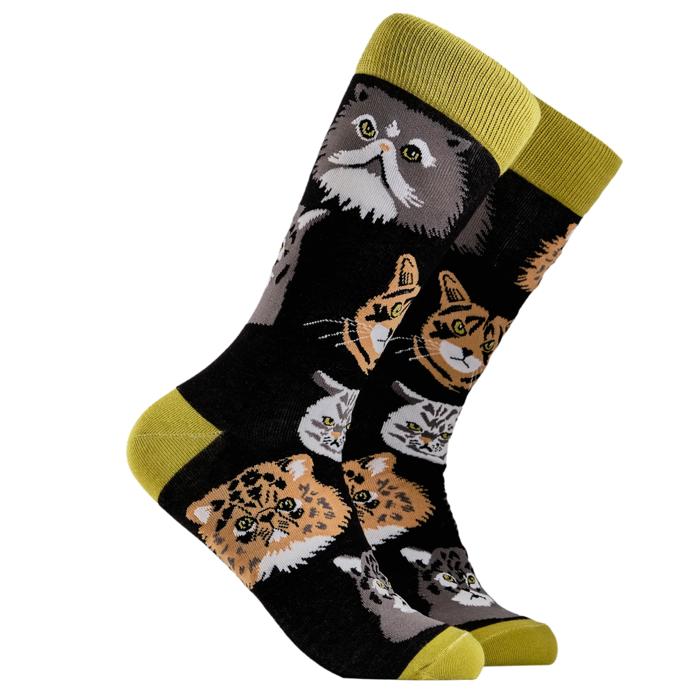 
                      
                        A pair of socks depicting various grumpy cats. Black legs, green cuff, heel and toe.
                      
                    