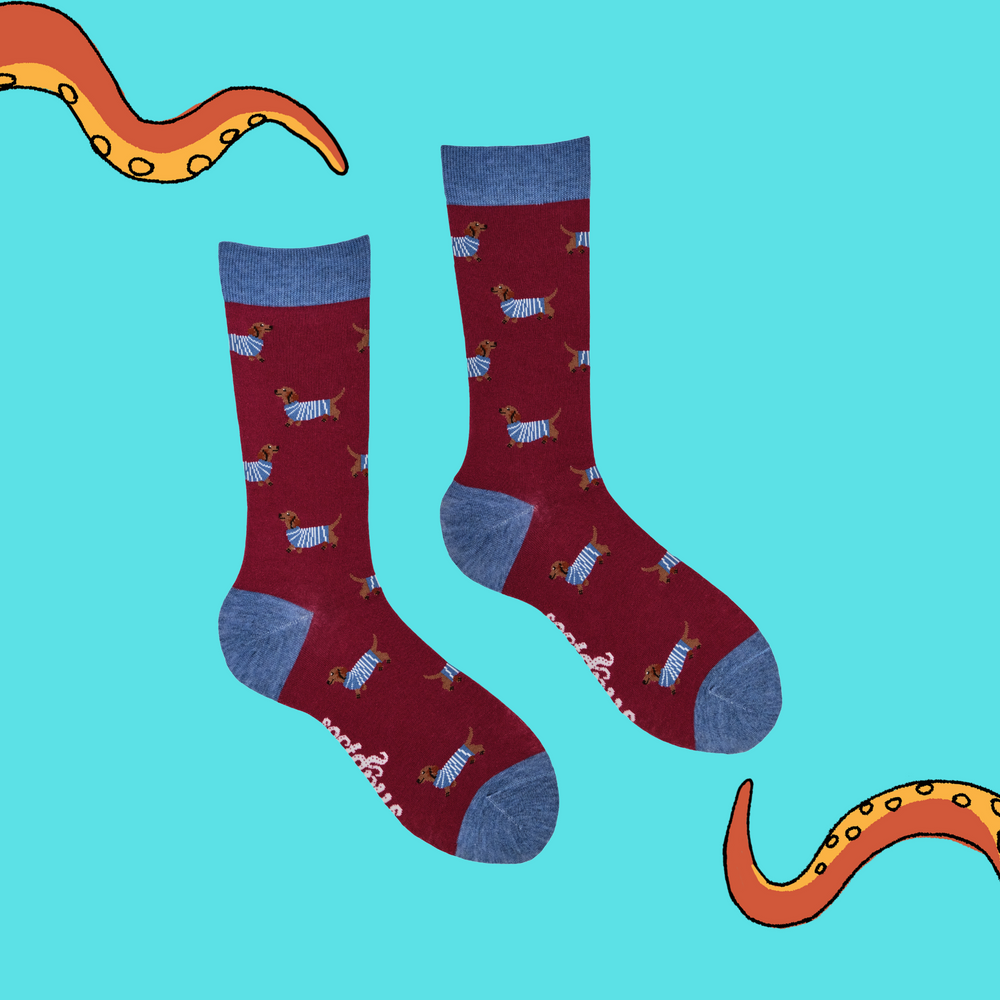 
                      
                        A pair of socks depicting sausage dogs wearing jumpers. Red legs, light blue cuff, heel and toe
                      
                    