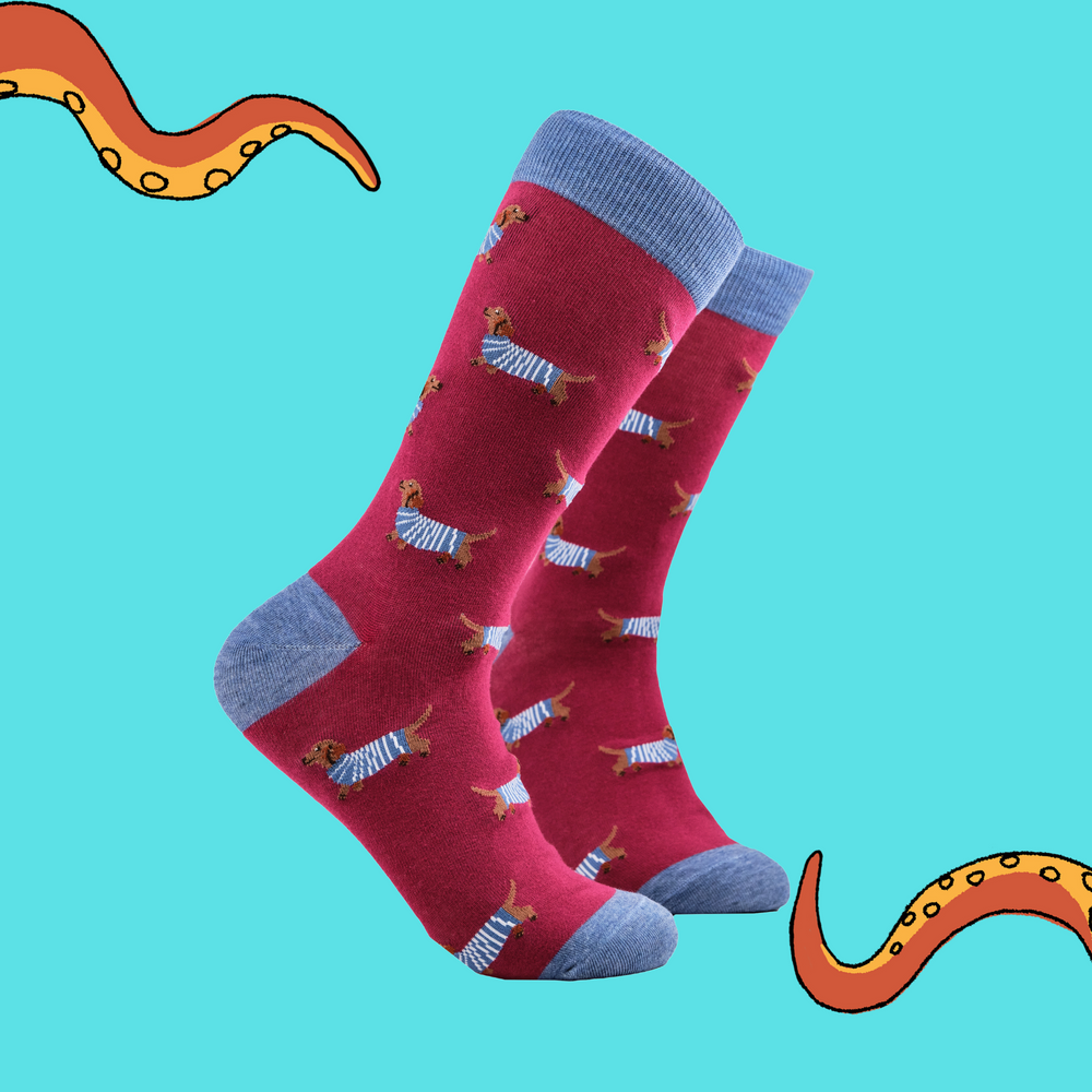 
                      
                        Sausage Dog Socks - Hot Dippity-Dog
                      
                    