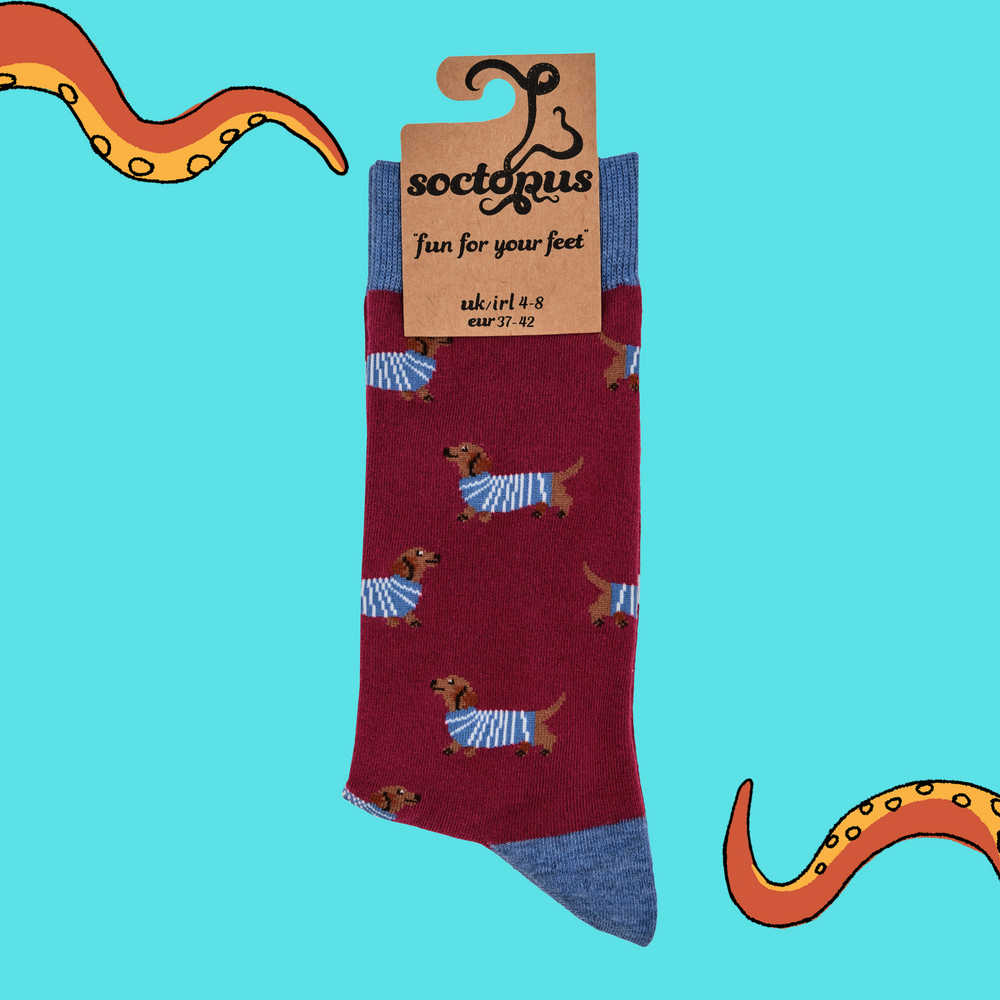 
                      
                        A pair of socks depicting sausage dogs wearing jumpers. Red legs, light blue cuff, heel and toe. In Soctopus Packaging.
                      
                    