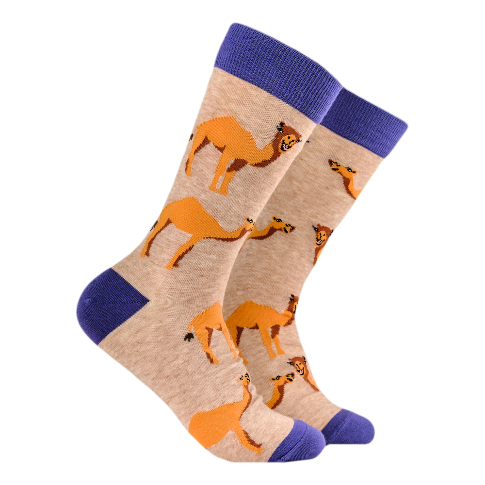 Happy Hump Day Socks. A pair of socks depicting camels, beige legs, blue heel, toe and cuff. 