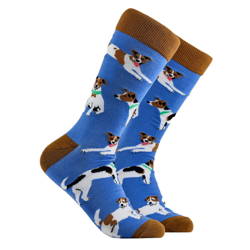 Jack Russel Terrier Socks - Jack The Lad. A pair of socks depicting jack russel dogs. Blue legs, brown cuff, heel and toe.