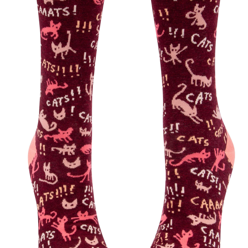 
                      
                        Cats! Socks
                      
                    