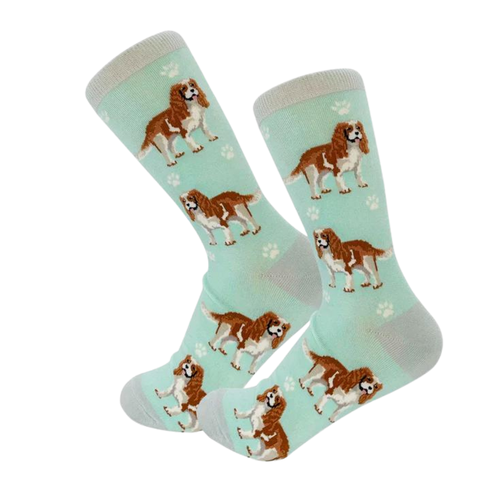 King Charles Cavalier Socks