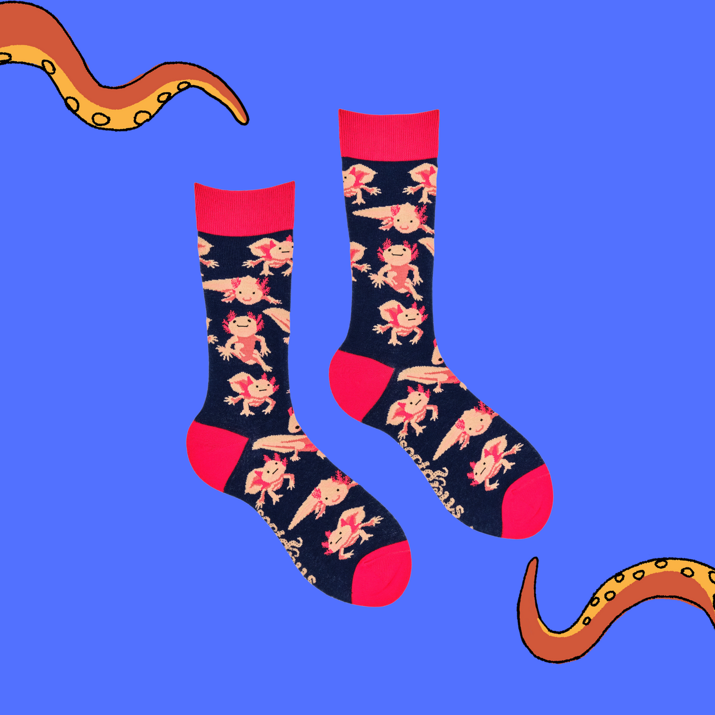 
                  
                    A pair of socks depicting Axolotls. Dark blue legs, red cuff, heel and toe.
                  
                