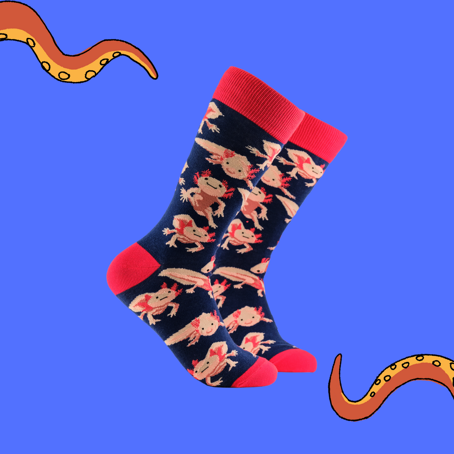 
                  
                    Axolotl Socks - Lottia Axolotl. A pair of socks depicting Axolotls. Dark blue legs, red cuff, heel and toe.
                  
                