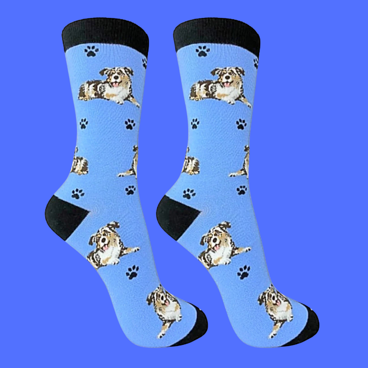 Australian Shepherd Dog Full Body Socks