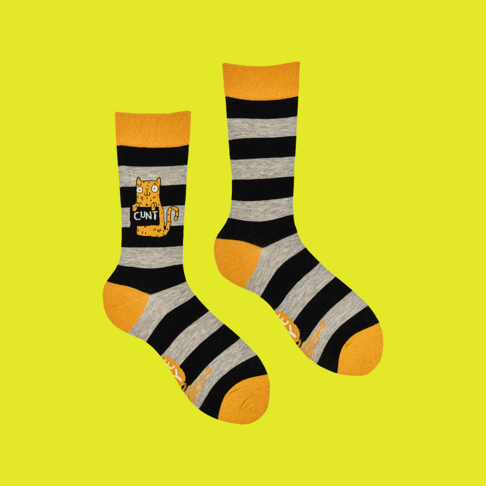 
                      
                        A pair of socks featuring a cute cat holding a sweary sign. Black and grey striped legs. Yellow heel, cuff and toe. 
                      
                    