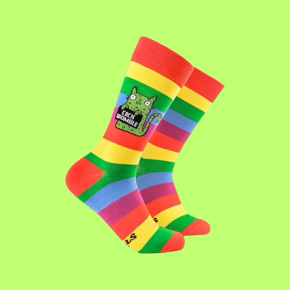 A pair of socks featuring a cute cat holding a sweary sign. Rainbow striped legs. 