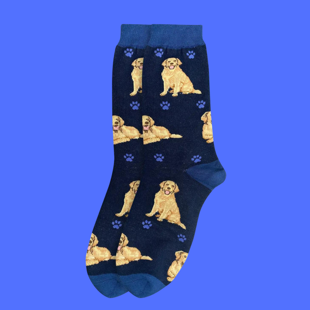 
                  
                    Golden Retriever Socks
                  
                