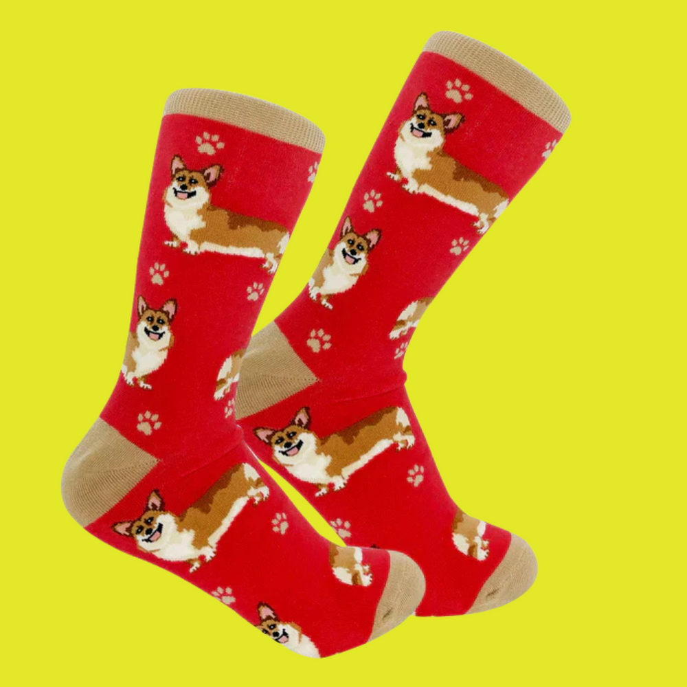 Welsh Corgi Dog Full Body Socks