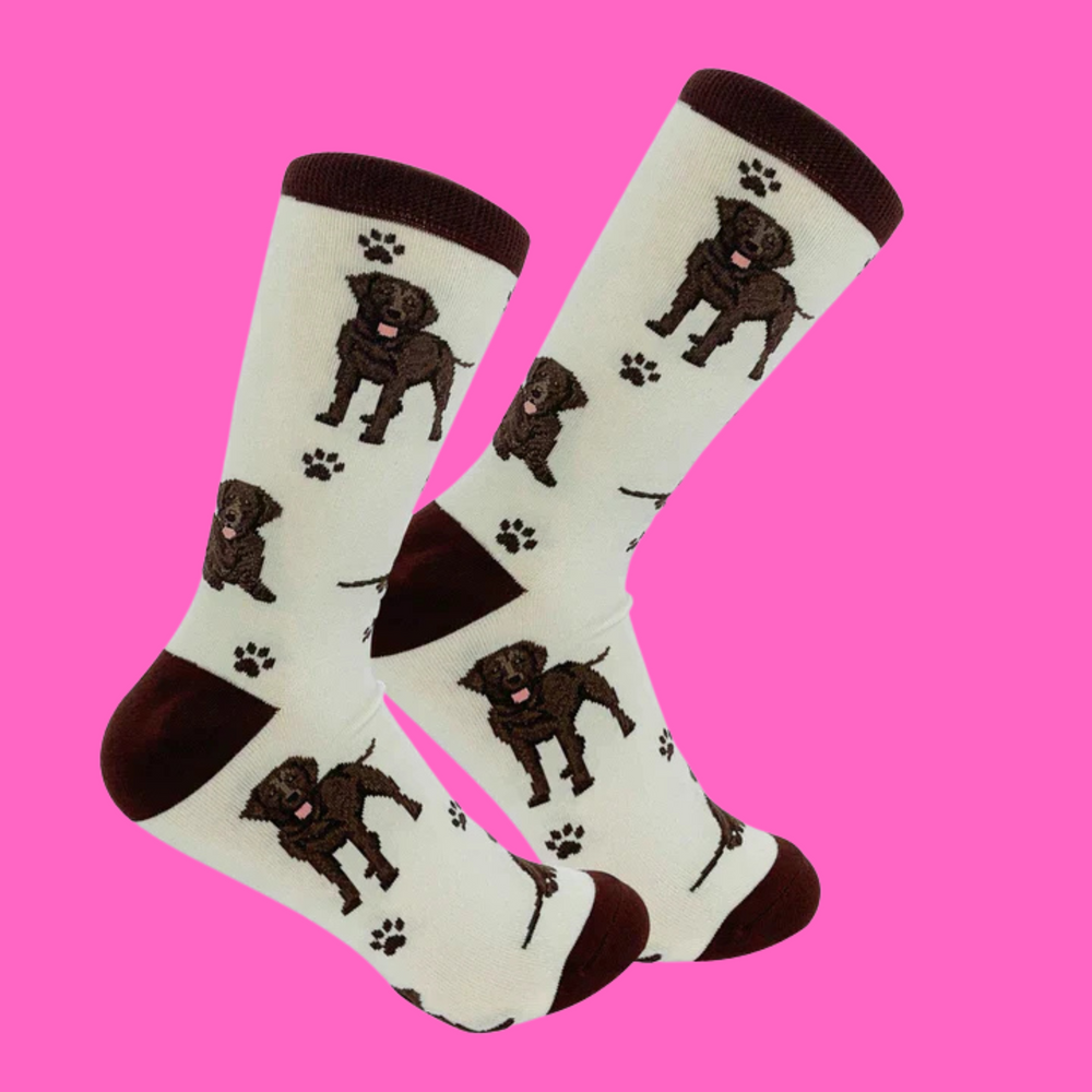 Chocolate Labrador Dog Full Body Socks