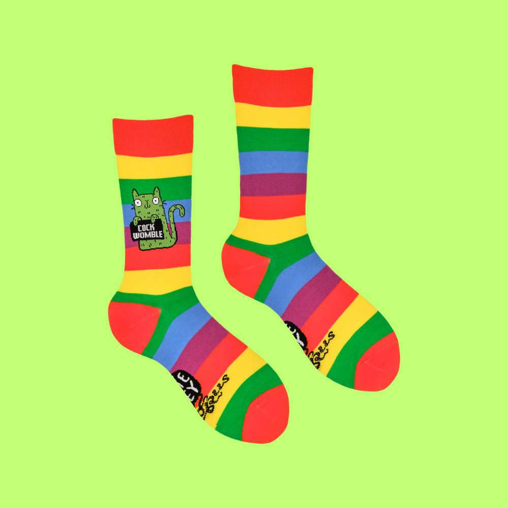 
                      
                        A pair of socks featuring a cute cat holding a sweary sign. Rainbow striped legs. 
                      
                    