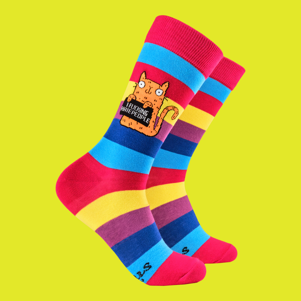 
                      
                        A pair of socks featuring a cute cat holding a sweary sign. Rainbow striped legs. 
                      
                    